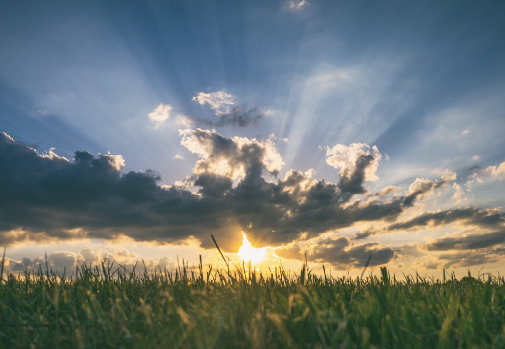 Sunlight on a green meadow representing mental clarity and self-sovereignty in strategic positioning